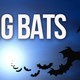 Illustration for article titled You Can Turn Into a Cloud of Bats in emSkyrim/ems emDawnguard/em Expansion. emBats./em